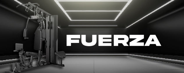 Fuerza